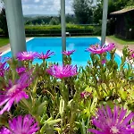 Monferrina - Pool - Unesco Heritage Villa