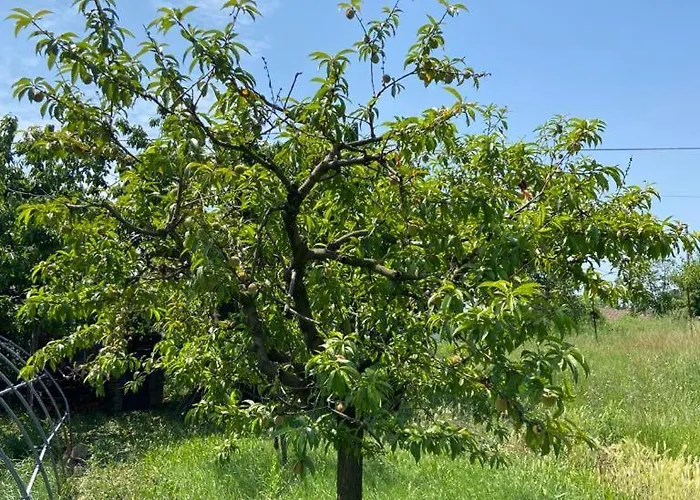 Monferrina - Pool - Unesco Heritage Villa *