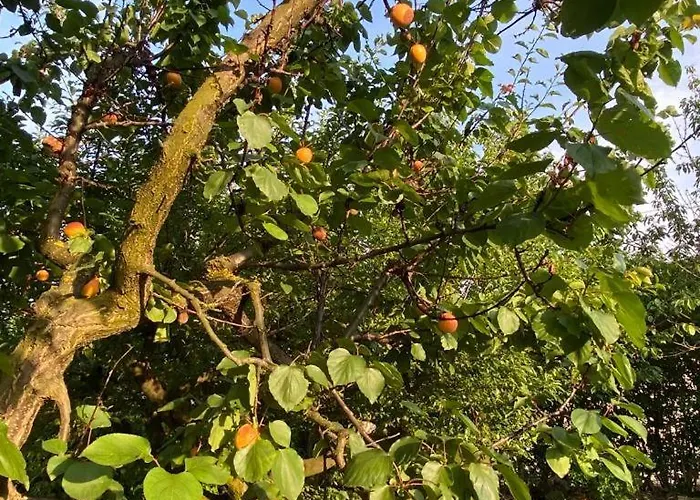 Villa Monferrina - Pool - Unesco Heritage Vaglio Serra