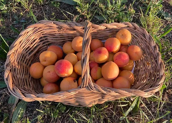 Monferrina - Pool - Unesco Heritage * Vaglio Serra