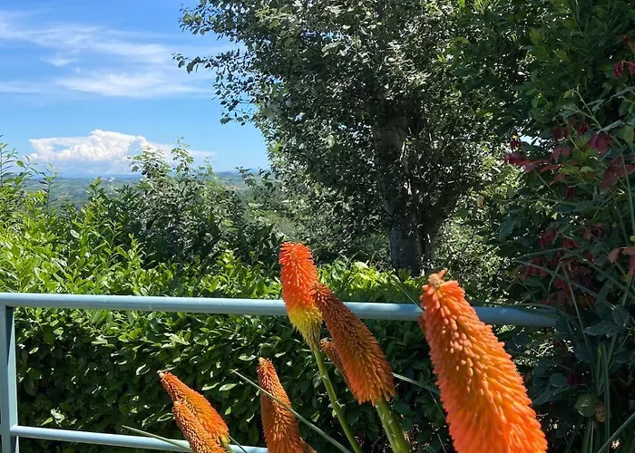 Monferrina - Pool - Unesco Heritage *